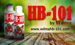 wilma hb-101